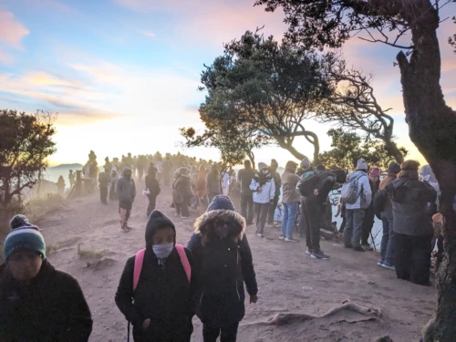 Les touristes, asiatiques essentiellement. tout cela voyage en jeep comme nous, et iil y a 3 sites "point de vue" aussi remplis chaque matin. Et on est en hors saison