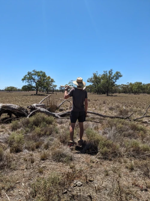 On réparé des barrières,il nous faut des logs pour combler les trous et bloquer le passage des kangourous (qui peuvent très bien passer au dessus mais on la flemme)