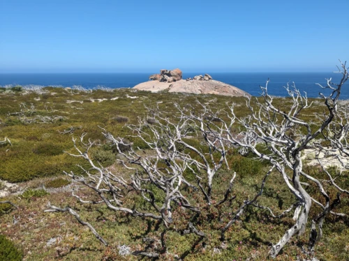 les rochers remarquables, qui sont des blocs de granit exposé à l'air libre suite à l'érosion, voir nos panoramas plus bas pour des photos intéressantes