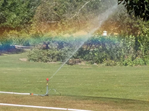Premier arc-en-ciel et on ne cessera d'en voir partout sur l'île du Sud bien que la pluie ne soit pas temps présente