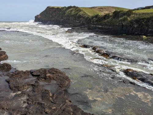 On arrive à curious Bay, célèbre pour sa forêt vieille de plusieurs centaines de milliers d'années fossilisé dans de la pierre.