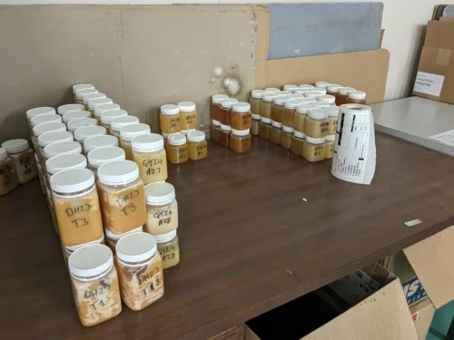 Adam garde des échantillons de chaque baril de miel qu'il produit afin de pouvoir les goûter en cas de problème qualité déclaré par ses clients