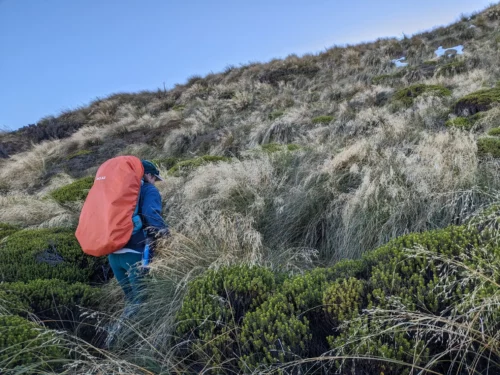 La montée est interminable on a l'impression qu'on va arriver en haut à chaque crête pour découvrir que ce n'est jamais fini