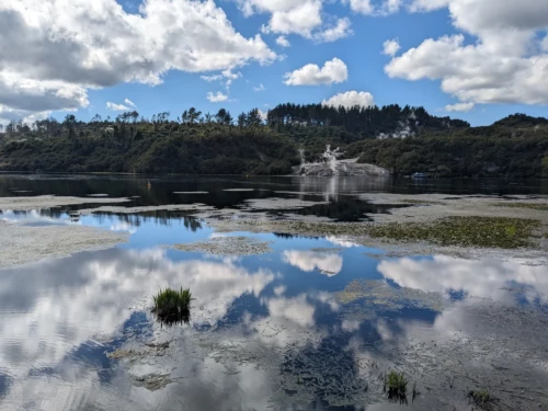 L'ile du Nord et célèbre pour ses activités géothermiques contrairement à l'île du Sud. Nous nous jetons donc dans une zone remplie d'activités géothermiques