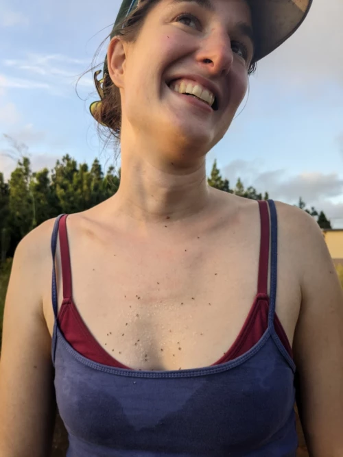 Le pare choc (humanoide) est couvert de moucherons écrasés. il faut dire qu'on a parcouru 50km à vélo et ça monte...