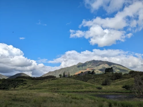 Petite ballade aux alentours, on reste aussi une journée en glandouille pour récupérer de notre wwoofing qu'on a trouvé épuisant (mentalement et physiquement)