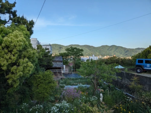 Nous commençons notre premier jour en faisant une randonnée qui rattrape le centre de Kyoto par un sentier peu connu et donc vide de touristes point c'est très agréable et ce jour là il fait très beau