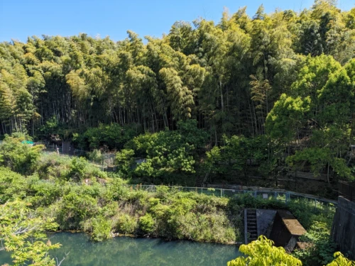 Aux abords de la ville on trouve des zones très pittoresque et pleine de charme. on apprécie cette verdure et ce calme bien qu'on soit à côté d'une des villes les plus actives du Japon. on se demande si on a le même luxe en France virgule on fera attention quand on sera rentré