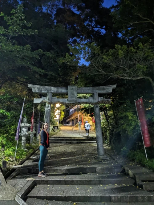 Le soir nous sortons avec notre route pour promener le chien d'une amie,et visitons un temple de nuit