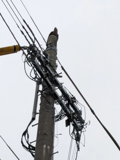 Beaucoup de rapaces survol la ville, ici l'un des plus gros c'est posé sur le poteau électrique face au convenience store