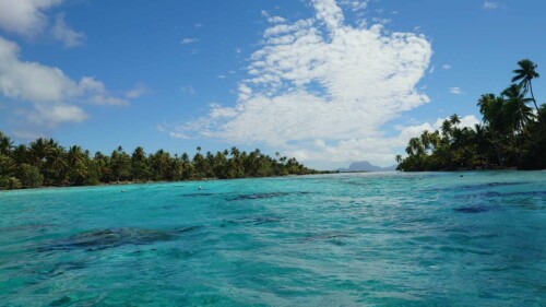 Excursion sur un bateau de pêcheurs vers le jardin de corail, c'est ici qu'on peut faire les photos clichées avec le lagon bleu et les cabanes sur pilotis notamment