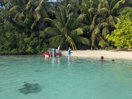 Le motus familiale de Warren, c'est une île inhabitée avec une vie sauvage (oiseaux, langoustes, crabes des cocotiers) qui fait penser à seul au monde