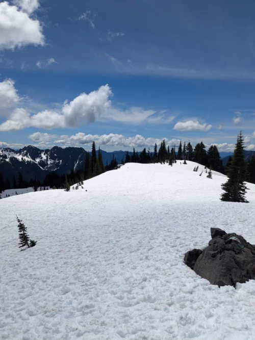Comme on peut le voir, malgré l'été et l'arrivée imminente du mois de juillet, il y a de la neige (on est >1500m)